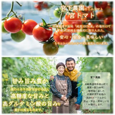 ふるさと納税 諫早市 ワイン酵母仕込み　茜鶴　ミニトマトのお酒　辛口　500ml |  | 02