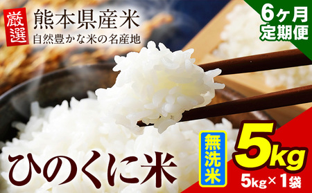 【6ヶ月定期便】 無洗米 ひのくに米 5kg 《お申込み月の翌月から出荷開始》 食品 米 こめ コメ 熊本県産 ふるさと納税 お米 おこめ 熊本