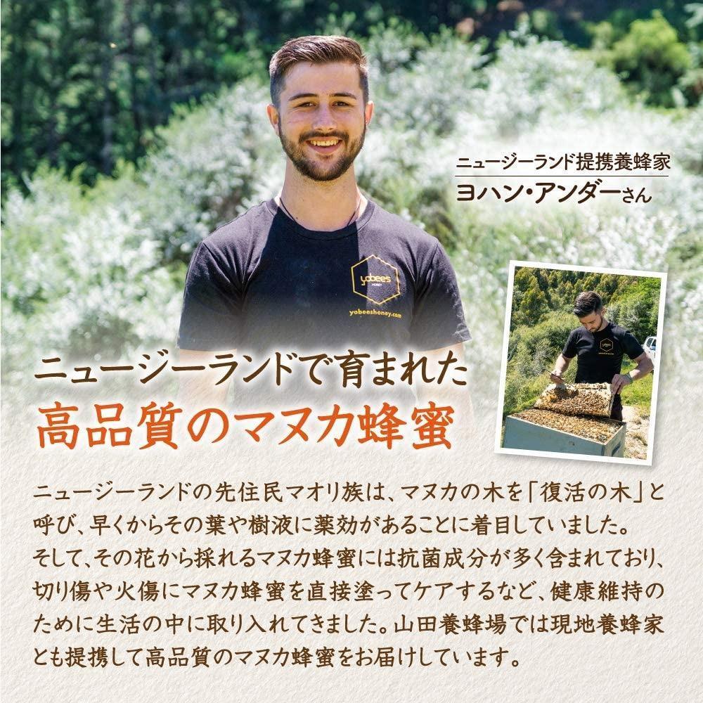 ＜定期便6回＞マヌカ蜂蜜MG500+(クリームタイプ) 200g  【006-a139】 定期便全6回