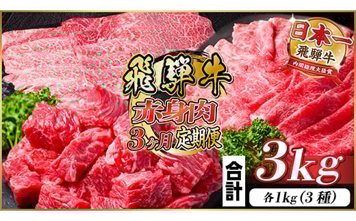 飛騨牛　厳選赤身　3ヶ月定期便　計3kg　A4～A5等級　＜冷凍便＞　黒毛和牛　小分け【4059529】