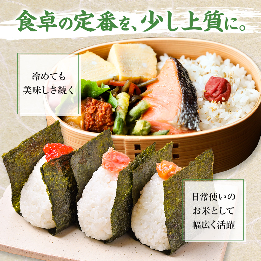 【3ヶ月定期便】精米 ゆめぴりか 10kg 株式会社ホクレン商事 《お申込み翌月から出荷》北海道 日高町 米 お米 JAびらとりブランド米 JAびらとり産米---hohdk_hs_34_30kg---