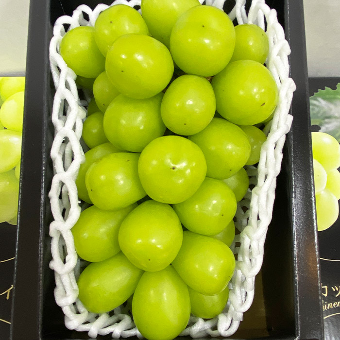 【期間限定】】希少！冬の大粒大房のシャインマスカット 秀品 1房(800g～1kg) FY25-904