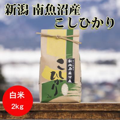 ふるさと納税 南魚沼市 【毎月定期便】南魚沼産こしひかり(精米)【2kg】全12回 | 