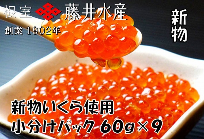 【北海道根室産】＜鮭匠ふじい＞いくら醤油漬540g(60g×9P) C-42065