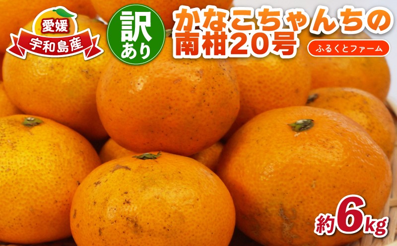 
                  訳あり 南柑20号 6kg ふるくとファーム  かなこちゃんち 温州みかん 果物 くだもの フルーツ 柑橘 みかん 蜜柑 mikan ビタミンC たっぷり 愛媛ミカン 愛媛蜜柑 愛媛みかん 農家直送 産地直送 数量限定 国産 愛媛 宇和島 B010-037005
                