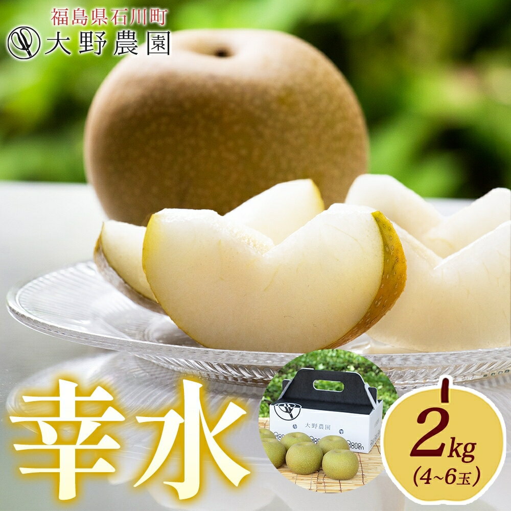 【ふるさと納税】梨 幸水 2kg 4～6玉 ｜ なし 旬 果物 フルーツ 甘い シャキシャキ 産地直送 新鮮 お取り寄せ 大野農園 福島県 石川町【19004】