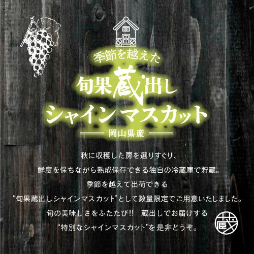 【旬果蔵出し】岡山県産 シャインマスカット 1.2kg以上（2～3房）＜2026年12月上旬～2027年1月中旬発送＞