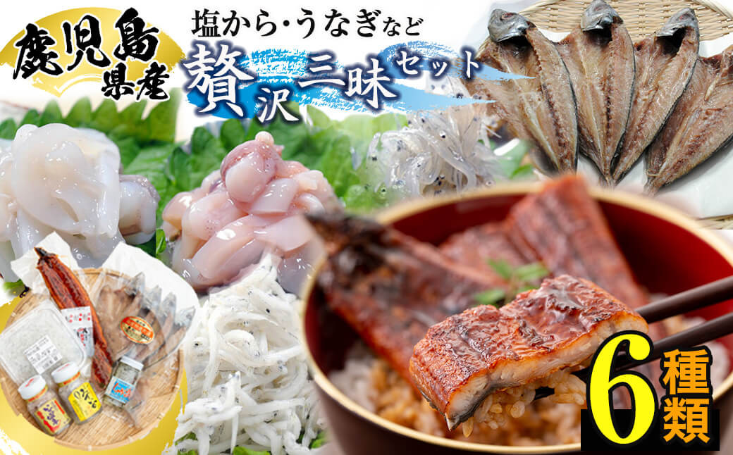 
鹿児島県産贅沢三昧セット!鰻蒲焼、アジの干物、釜揚げちりめん、塩辛3種食べ比べ 計6種! 食べ比べ あじ ひもの シオカラ 塩から 水いか うなぎ ウナギ 海産物 バラエティ b5-181
