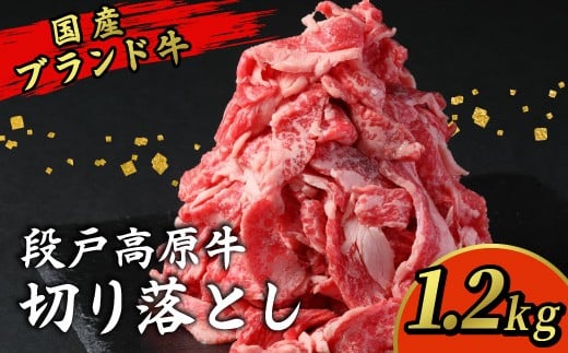 1月発送限定の特別規格★国産ブランド牛 切り落とし 1.2Ｋｇ (200g×6） 小分け 段戸山高原牛 幻 牛 国産 牛肉 牛 スライス 地域 限定 小分け 大満足 赤身 肉 数量限定 肉 牛肉切り落とし 牛切り落とし 国産牛 ブランド牛 10000円 10,000円 -039