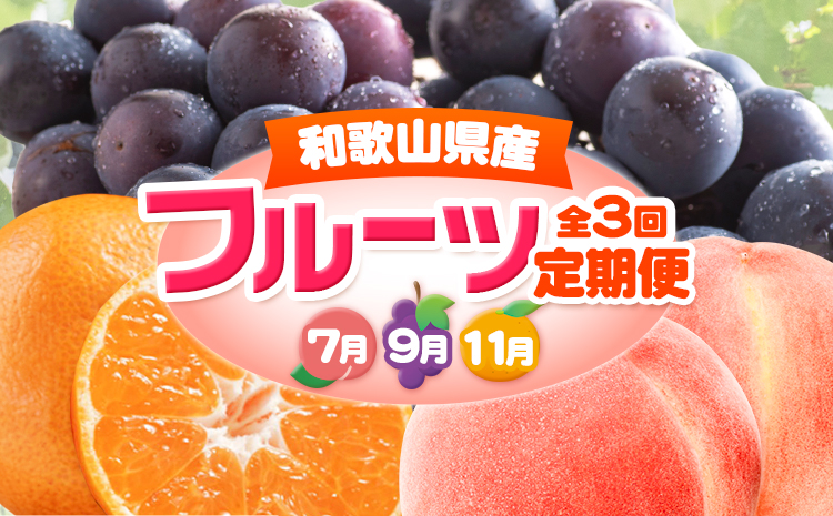 人気フルーツ全3回（7月・9月・11月）定期便 厳選館《7月上旬-11月末頃出荷》和歌山県 日高川町 果物 フルーツ 和歌山の 桃 種なし ピオーネ ぶどう 有田 みかん 送料無料【配送不可地域あり】