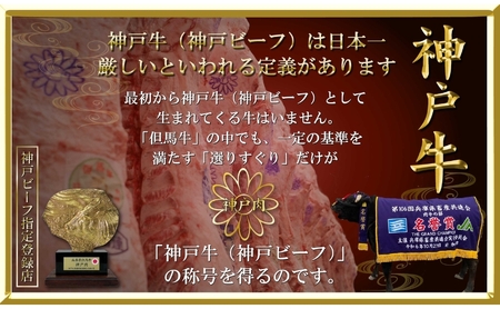 神戸ビーフ ITST3 ロースステーキ 600g