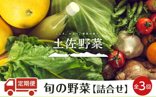 
『定期便 全3回』【土佐野菜】旬の野菜の詰め合わせ
