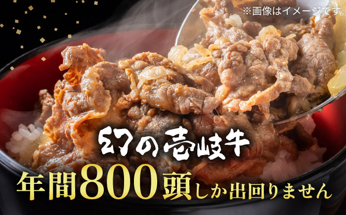 壱岐牛 切り落し （250g×4パック） 《壱岐市》【長崎フードサービス】 スネ肉 1kg 牛肉 牛 精肉 焼肉 すき焼き 16000 16000円 [JEP004]