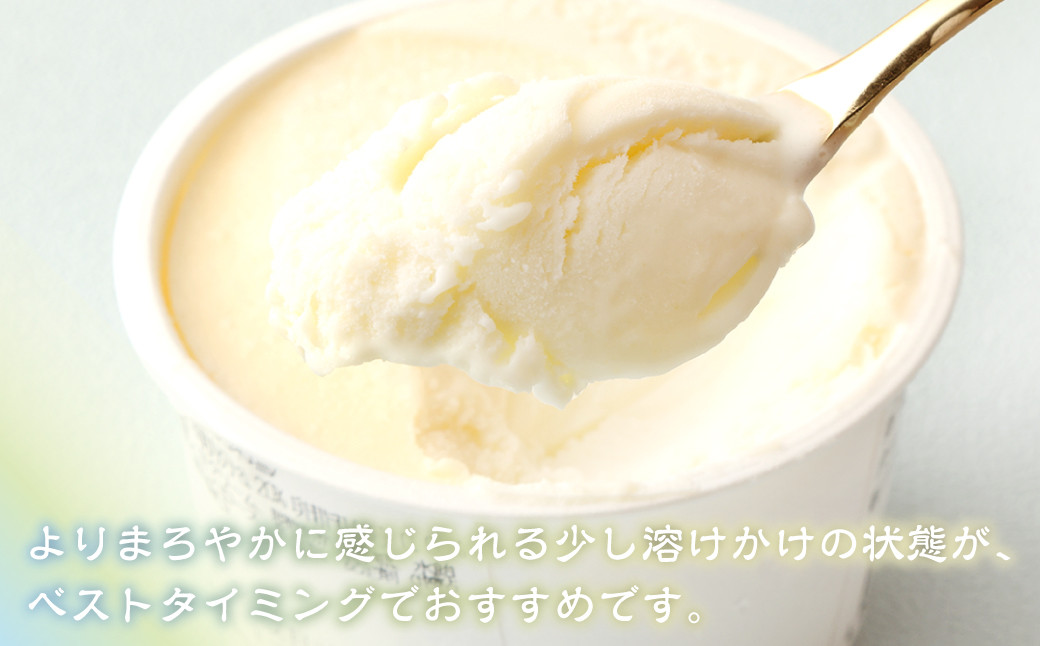 綿田の米 塩アイス 16個 セット