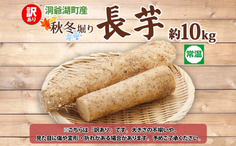 洞爺湖町産 訳あり 長芋 約10kg 2025年12月上旬から順次お届け 長いも 国産 北海道産 訳アリ 家庭用 不揃い とろろ 山かけ ステーキ 生食 調理 野菜 芋 旬 北海道 洞爺湖町