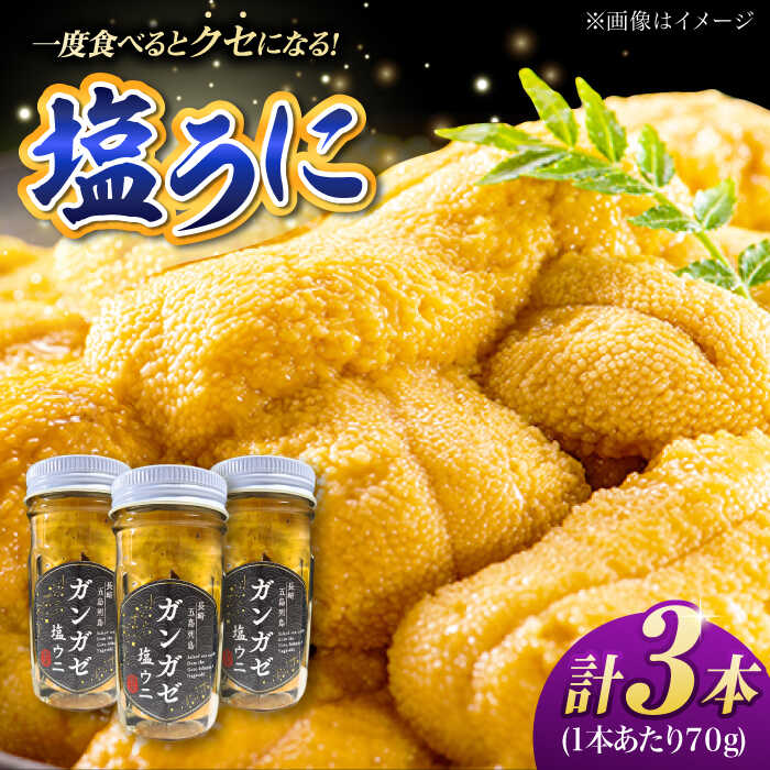 【ふるさと納税】 ガンガゼ塩うに 70g×3本 五島市 / うた丸[PGA001] ウニ 雲丹 ガンガゼうに ガンガゼウニ 海鮮 魚介 長崎 九州 五島 五島列島 セット