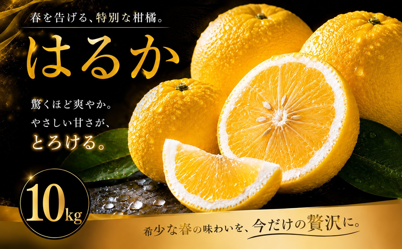 
                  【選ぶならこれ】 酸味ほぼなし 【はるか】 10kg 愛媛県産 【2027年2月上旬頃から順次発送】 | みかん ミカン mikan 蜜柑 訳ありフルーツ 柑橘 果物 おすすめ お勧め お取り寄せ ギフト 愛媛県 松山市
                
