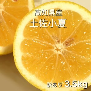 訳あり小夏3.5キロ（白浜農園の減農薬小夏） 柑橘 みかん フルーツ 日向夏 果物 ワケあり 傷 訳 家庭用 自宅用 特産【R01152】