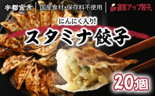 
宇都宮餃子 ニンニクマシマシ スタミナ餃子 20個 保存料不使用【冷凍餃子 ぎょうざ ギョウザ 冷凍食品 惣菜 栃木県 宇都宮市 】※配送不可地域：離島
