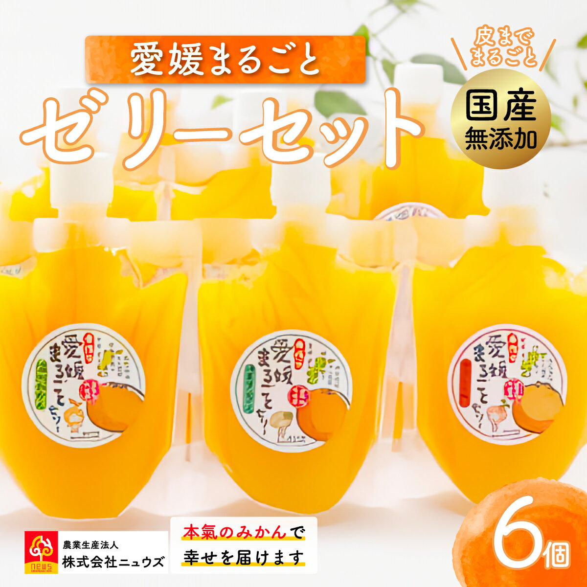 【ふるさと納税】【皮までまるごと国産無添加】愛媛まるごとゼリーセット（6個） 【ふるさと納税 人気 おすすめ ランキング みかん ミカン 蜜柑 ゼリー セット フルーツ 果物 ニュウズ 愛媛県 伊方町 送料無料】 IKTF011