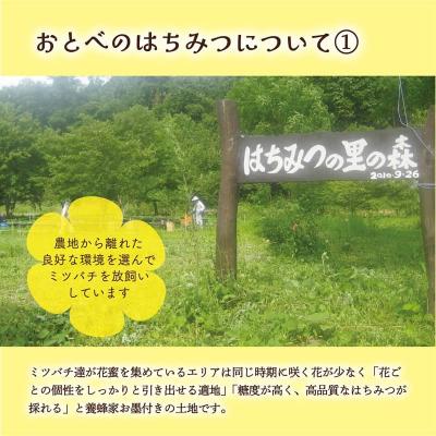 ふるさと納税 乙部町 <おとべのはちみつ シナ500g×1本> |  | 01