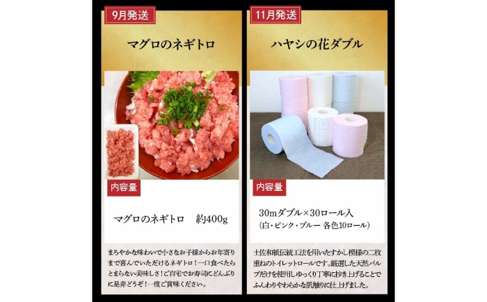 高知県 土佐市 高知 土佐 名物 詰め合わせ セット 人気 おすすめ