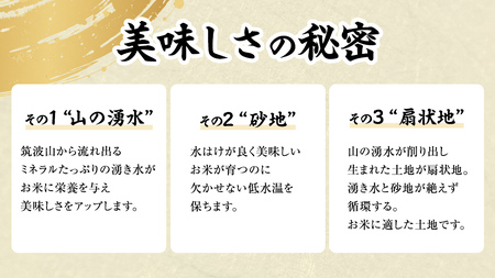 《 令和7年産 先行予約 》 コシヒカリ 「幻の米 羽鳥米」 3kg (3kg × 1袋) 筑波北麓秘蔵米 お米 ごはん 精米 コメ 白米 国産 茨城県 桜川市 限定 期間限定 数量限定 銘柄米 [A