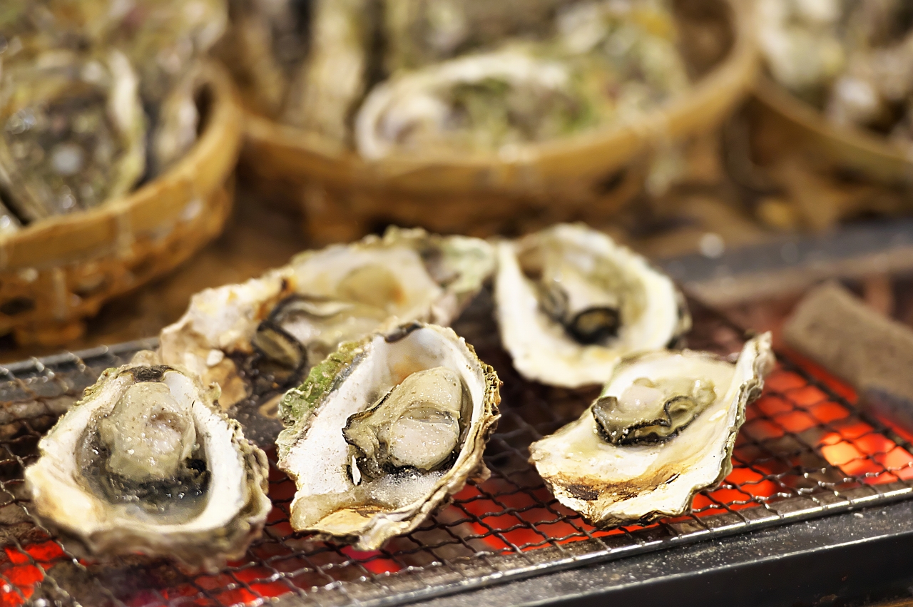 【発送時期が選べる】魚介類 牡蠣 /能登風土 七尾産「能登かき」殻付き（半斗缶）◇ ※必ずよく加熱してお召し上がりください※離島への配送不可 ※2024年12月上旬～2025年4月下旬頃に順次発送予定