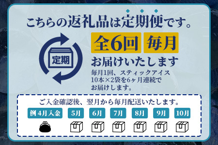 定期便 (6回定期便) さがん氷 かちわり氷 スティックアイス 10本×2セット 合計120本 G-70 藤津製氷 こおり 氷 ロック アイス 佐賀 鹿島 九州