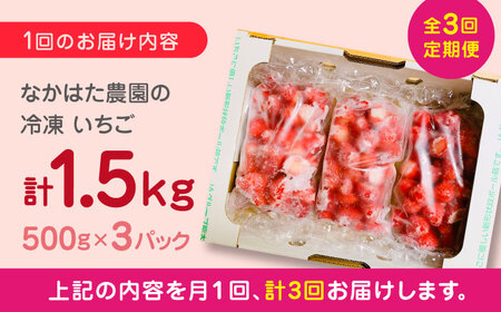 【全3回定期便】【数量限定】 熊本県産 冷凍イチゴ 計1.5kg ( 500g × 3P ) 熊本県産いちご 山都町産いちご 家庭用いちご フローズンいちご いちご国産いちご 熊本県産いちご 九州産い