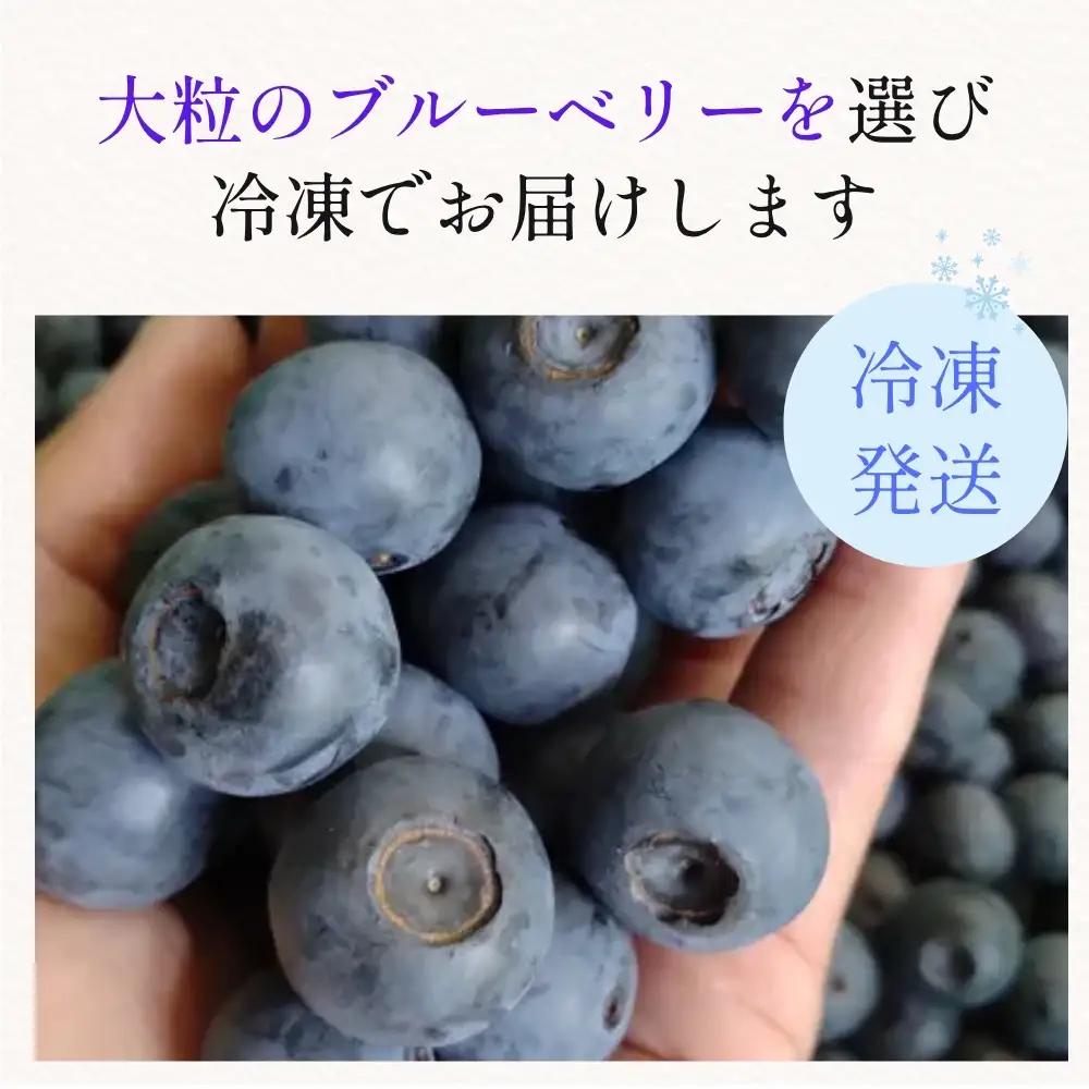 【予約数量限定】ブルーベリー 有機JAS認証 1kg 冷凍 無農薬