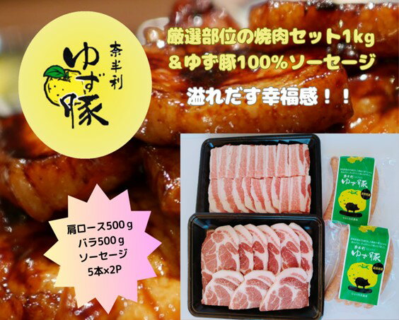 【ふるさと納税】112004　厳選部位の焼肉セット1kg＋ソーセージ5本入り×2P　豚肉　焼肉　ブランド豚　 美味しい　おすすめ　人気　BBQ　高知県