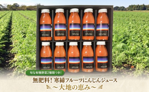 にんじん ジュース 寒締 200cc × 計10本 野菜 2種 付き 甘い 大地の恵み 旬 有機野菜 2種類 つき JAS認定 ジュース 有機 農薬 化学肥料  不使用 おまかせ 野菜 にんじん 人参 人参ジュース にんじんジュース レインボーフューチャー 関東 茨城 筑西