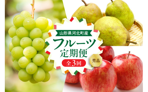 【令和8年産】河北町の山形らしいフルーツ定期便 3回(シャインマスカット・ラフランス・サンフジ)【山形eLab】 ka074-029-r8