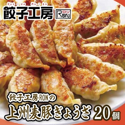 餃子工房RONの点心セット【麗（れい）】餃子 シュウマイ 10種類セット 