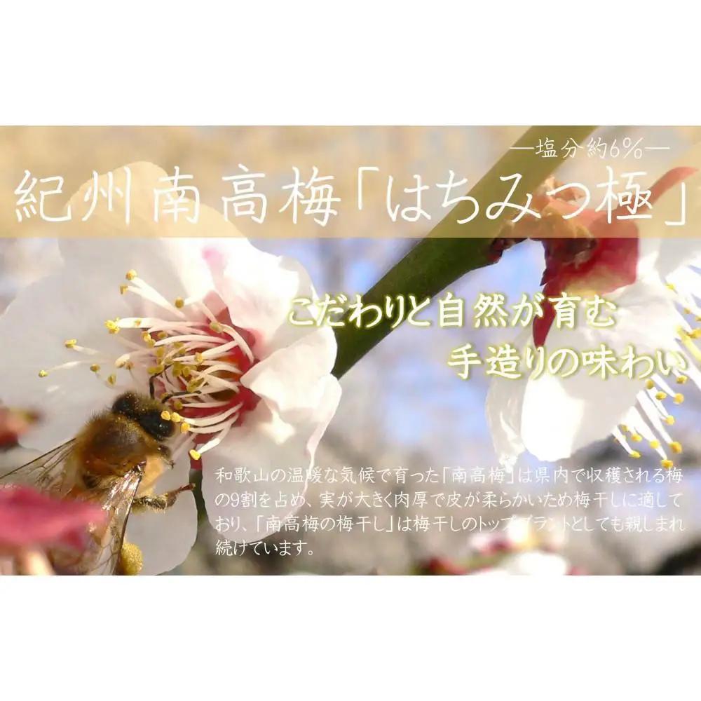 【定期便・2ヵ月毎 全5回】紀州南高梅 はちみつ極 850g ［YM10w］