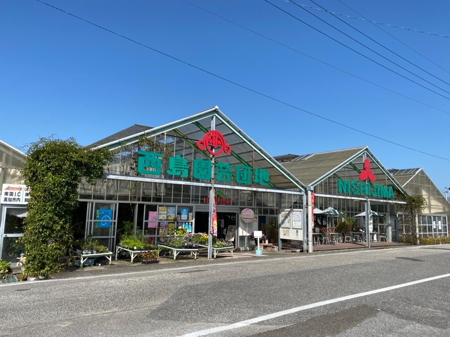 家庭用 メロン 4玉 | マスクメロン 4個 フルーツ 果物 厳選 高級 青肉メロン 人気 デザート ギフト プレゼント 贈り物 くだもの 旬 お取り寄せ 訳アリメロン 甘い 青肉 メロン 高糖度メロ