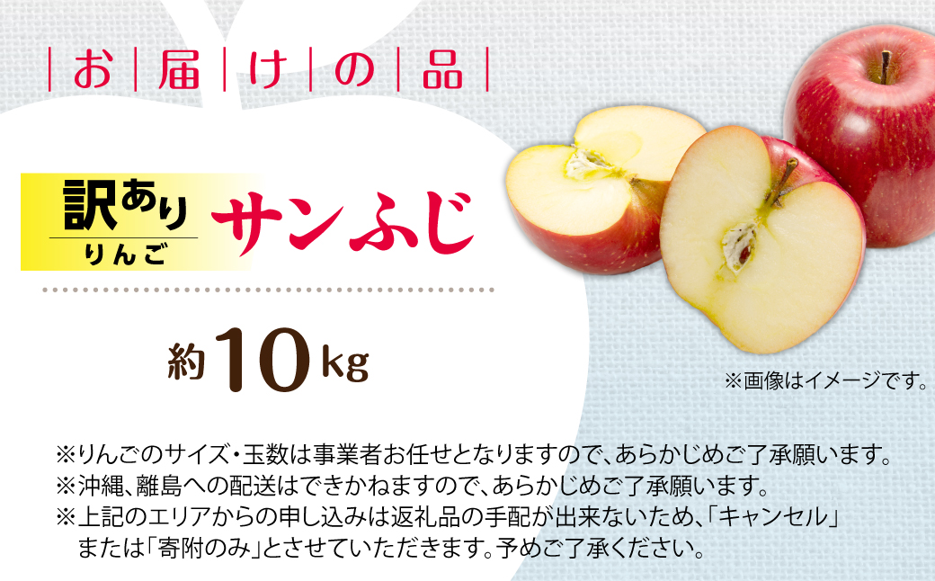 【先行予約】＜2026年12月上旬よりお届け＞北海道壮瞥町　訳ありりんご　品種名「サンふじ」約10kg SBTF030