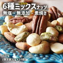 【ふるさと納税】ナッツ 小分け 素焼き 無塩 無添加 このみみ6種 ミックスナッツ 320g（個包装32g×10袋） 便利 個包装 お菓子 健康食品 ピーカンナッツ アーモンド 殻なし ピスタチオ カシューナッツ マカダミアナッツ ヘーゼルナッツ 陸前高田 サロンドロワイヤル