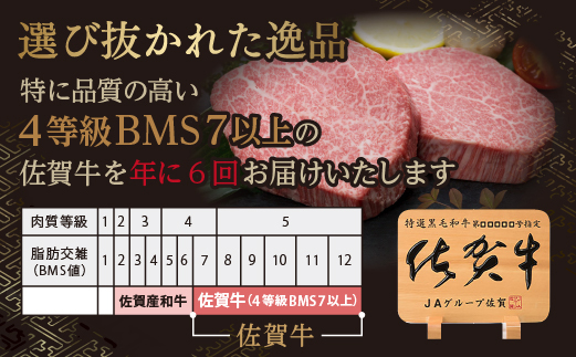 【定期便６回】佐賀牛 ヒレステーキ 300g×6回 偶数月発送 年6回 黒毛和牛 _g-9