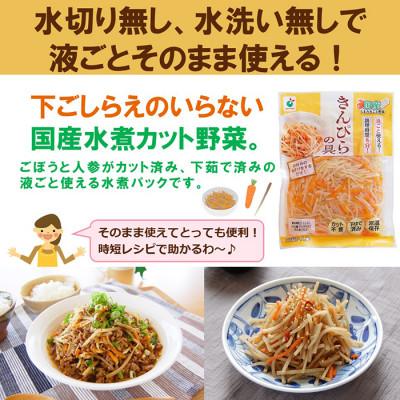 ふるさと納税 射水市 「うまみ丸ごと野菜 国産きんぴらの具 200g」×20袋 |  | 01
