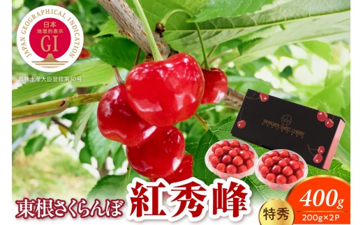 【2027年産 先行予約】GI 規格 紅秀峰200g×2P 特秀 L以上 山形県 東根市 千笑花夢提供 hi082-063-r9 さくらんぼ 期間限定 先行予約 ご当地 特産 産地 直送 人気