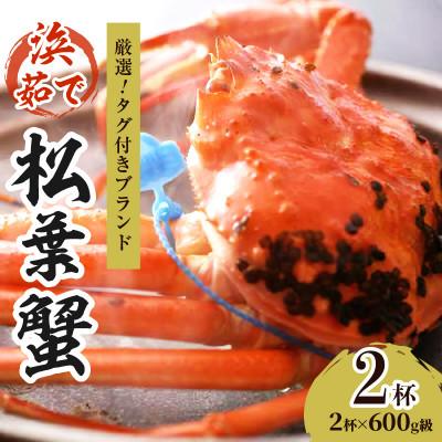 ふるさと納税 京丹後市 ズワイガニ 姿【厳選!タグ付きブランド蟹】茹で松葉かに(中)　浜茹でにてお届け! 600g級×2杯