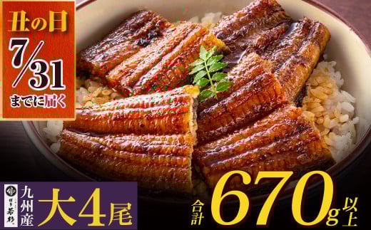 U61-73-03R02 【7/31までにお届け】  国産うなぎ蒲焼大サイズ4尾（計670g以上）鰻蒲焼用タレ・山椒付 うなぎ 生産量日本一鹿児島県産うなぎ 宮崎県産うなぎ 熊本県産うなぎ 九州産 うなぎ 鰻 人気 おすすめ 鰻 ウナギ うなぎ 国産 冷凍 蒲焼 うな重 ひつまぶし 土用 丑の日