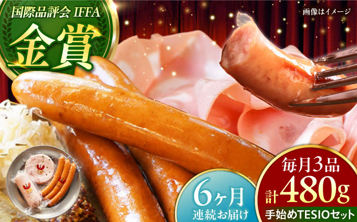 
                  【全6回定期便】TESIOの自家製ハム＆ソーセージ 『手始めTESIOセット』 豚肉 ハム ソーセージ 小分け 真空パック 母の日 父の日 沖縄市 / TESIO [BCAD008]
                