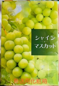 シャインマスカット 2房 (約550g以上×2房)糖度18度以上 [0965]