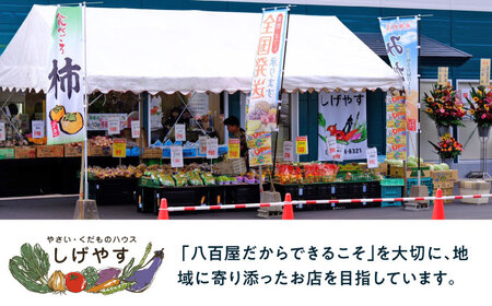 佐賀県産イチゴ「いちごさん」約440g（220g×2パック） /有限会社しげやす[UEQ002]