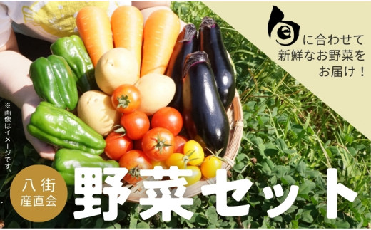 八街産直会  こだわり の 旬 野菜セット 6～7品 野菜 野菜詰め合わせ 八街市 千葉県 産地直送 秋冬野菜