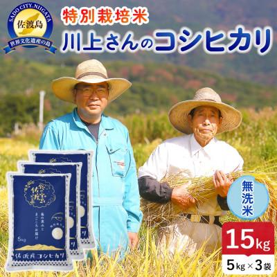ふるさと納税 佐渡市 【新米】令和8年産 佐渡島産川上さんのコシヒカリ 無洗米15kg 特別栽培米