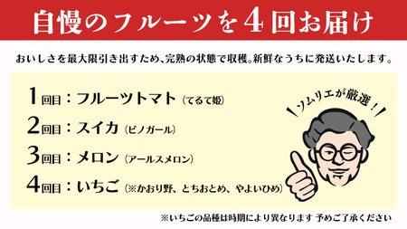 【 野菜ソムリエ 厳選 】 旬 の フルーツ定期便 ( フルーツトマト スタート ) 先行予約 [AF095ci]